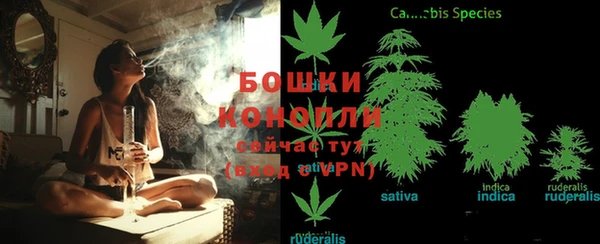 MESCALINE Богданович